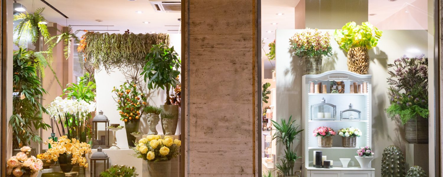 Fiori e piante